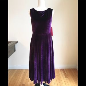 Incredible NWT Betsey Johnson Purple Velvet Dress Sz 6